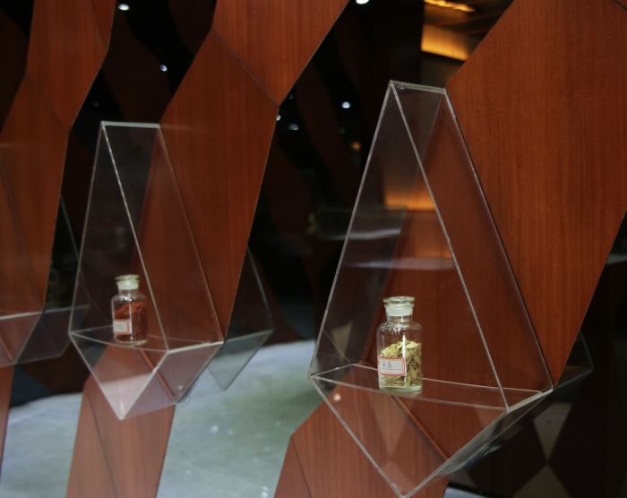 專業(yè)展廳